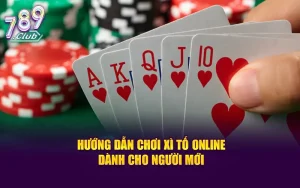 Hướng Dẫn Chơi Xì Tố Online Dành Cho Người Mới